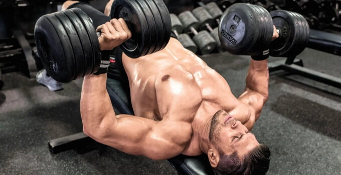 The Ultimate Guide To Chest Workout For Beginner