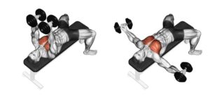 Dumbbell Flys