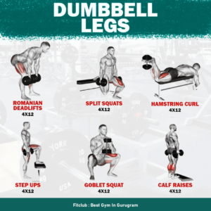 Fitclub Beginner Leg Workout