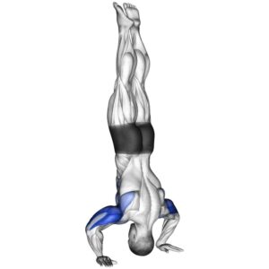 Handstand Push-Ups for Shoulder Workout At Home