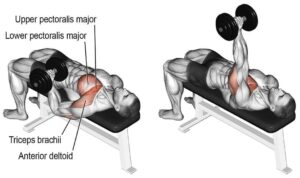 Reverse Grip Dumbbell press