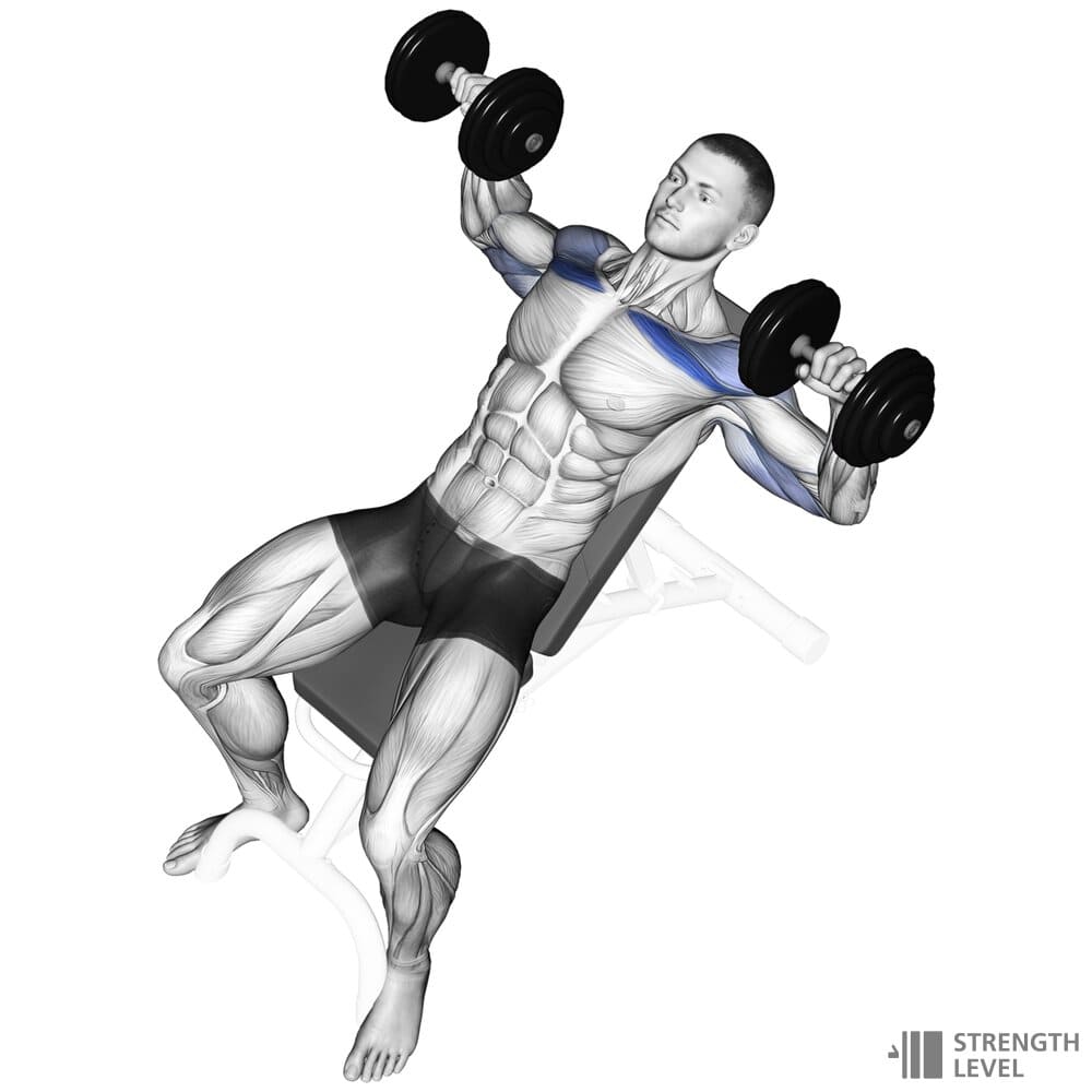 incline dumbbell bench press