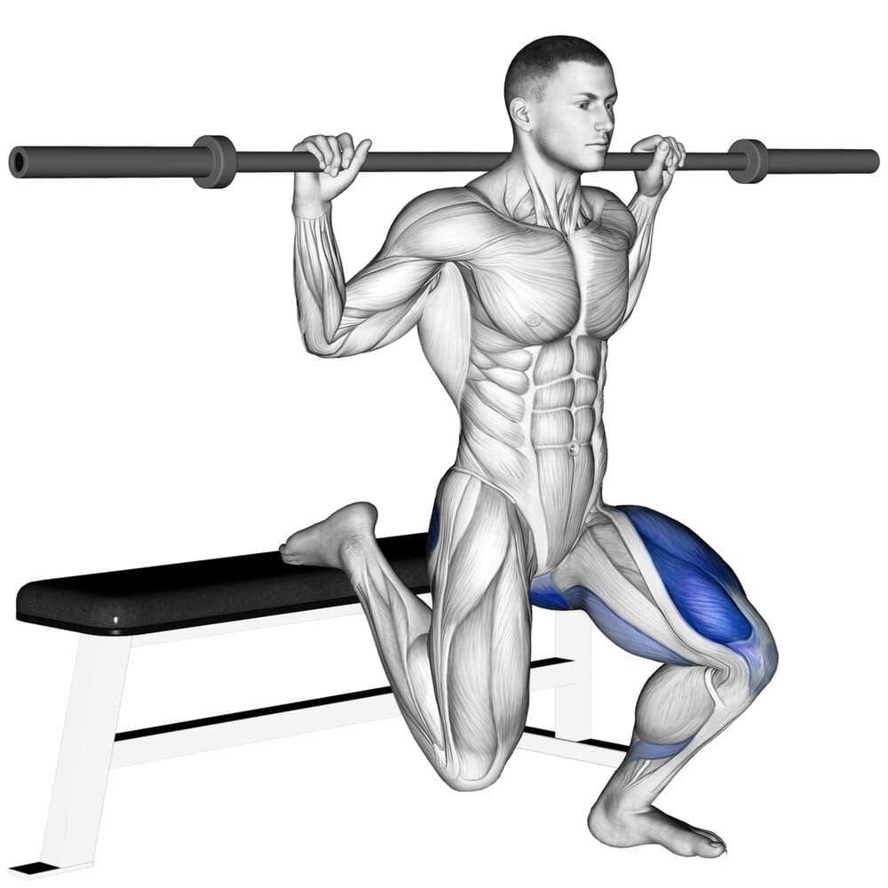 Bulgarian Split Squat