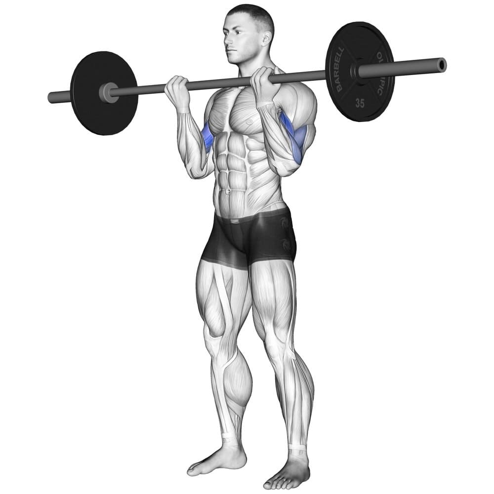 EZ-Bar Curl Workout